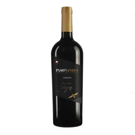 Vinho Tinto Paso De Los Andes Carmenere 750 ml